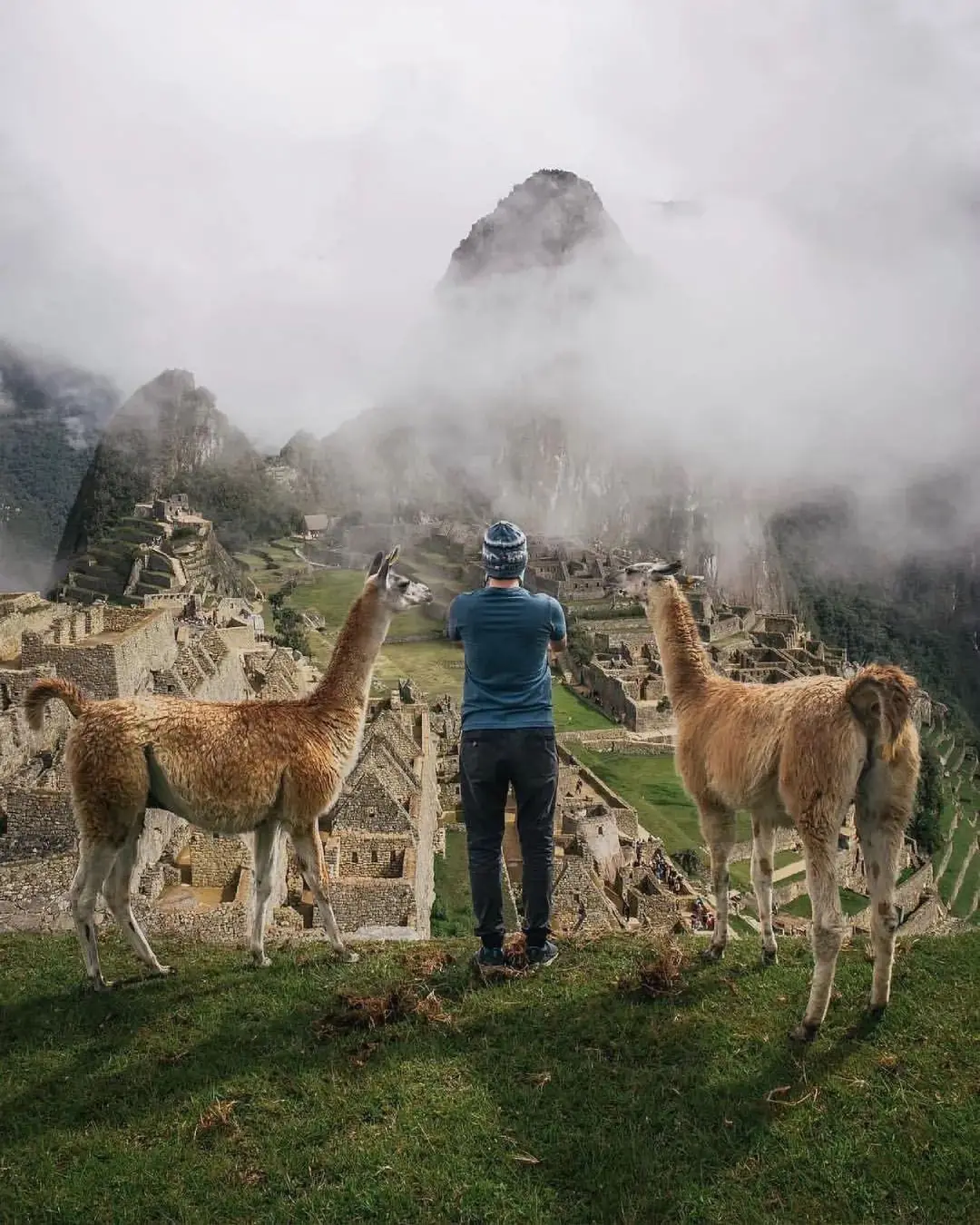 Machu Picchu