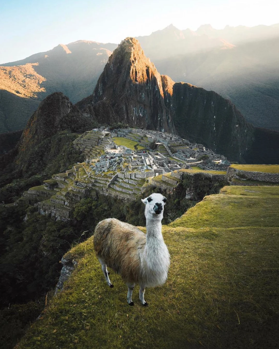 Machu Picchu