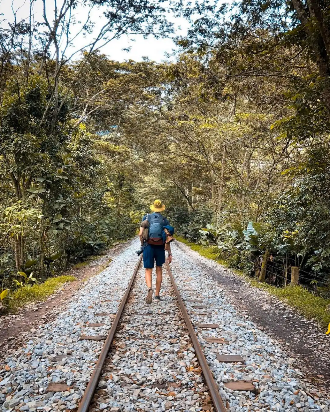 Machu Picchu Eco Tours
